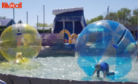 strong red zorb ball to play